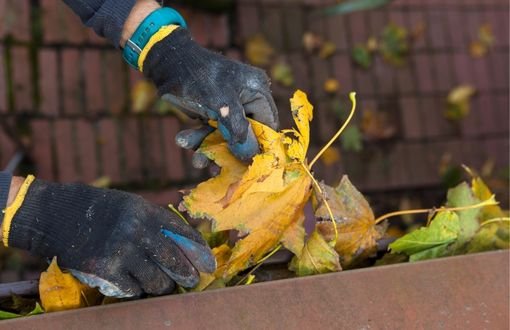 leaf clearing and landscaping design by Dark Horse Landscaping in Boca Raton Florida