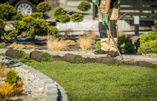 adding grass and sod to a lawn for lawncare and landscaping services with Dark Horse Landscaping in Boca Raton Florida